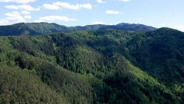 Alternativele la Goriţa, în faza formularelor online