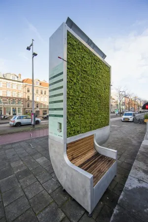 Cumpăraţi pentru Braşov: doi „plămâni verzi” cât 250 de copaci