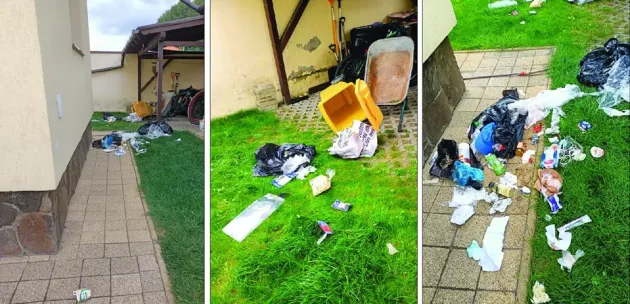 Oferta unui medic braşovean: Angajez vânător cu autorizaţie „la urs”