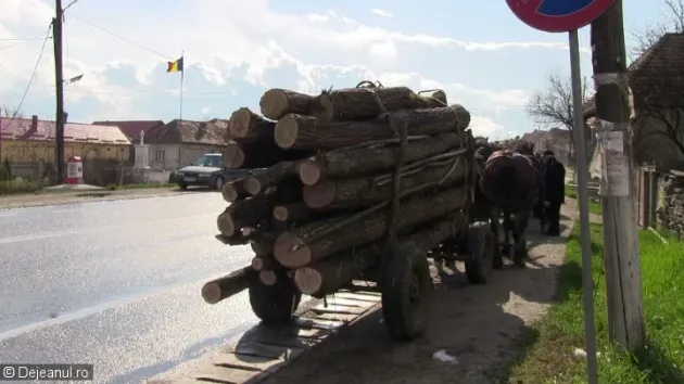 Măieruş: Amendaţi pentru carpenul din căruţă