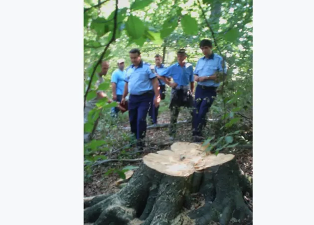 Vlădeni, suspecţi la marginea pădurii: Lumea nu mai tace, sună la 112