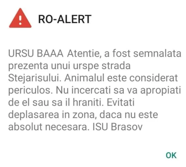 Ursul, băăă! Angajatul pentru care ISU Braşov a trebuit să-şi ceară ieri scuze
