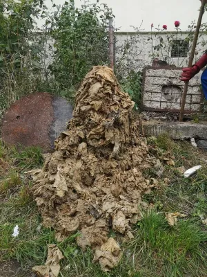 Codlea, str. 9 Mai: Aici ar sta cei mai nepăsători locuitori ai judeţului