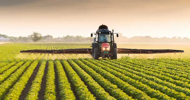 Fonduri de 105 de milioane de euro pentru persoanele fizice care vor să investească în agricultură şi silvicultură