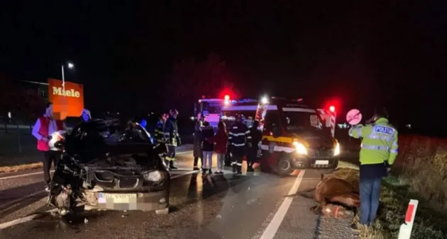 Şoferiţă de 19 ani, n-a reuşit să evite calul ce i-a apărut în faţă