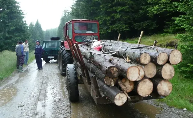 Şinca Nouă: Prins cu remorca de fag furat