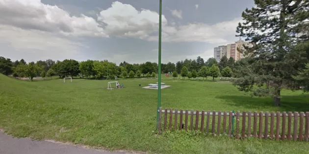 Prima „pădure urbană”  va fi la Pasajul Fartec