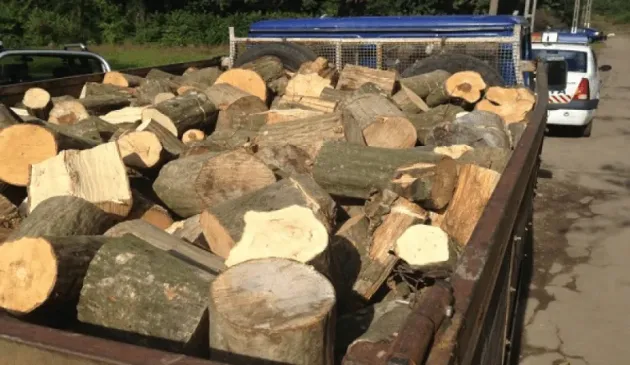 Codlea: Fagul din autoutilitară