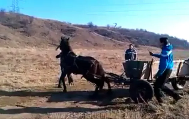 Apaţa: Căruţaş de 17 ani, dat pe mâna Poliţiei