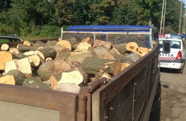 Codlea: Ascundea 2,45 mc de fag furat în maşină