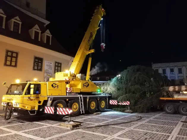 A început povestea Crăciunului: Avem brad în Piaţa Sfatului, un „bătrân falnic” de 53 de ani şi 26 de metri  