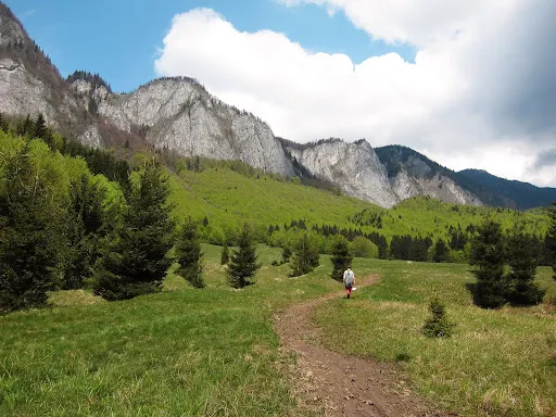 820.000 de lei, în 3 case de vacanţă pe 2,7 hectare în Cheile Râşnoavei