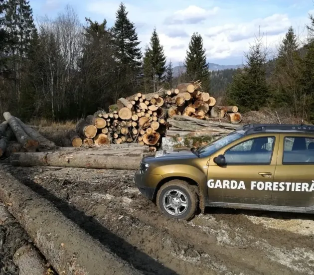 Garda la Ocol: difeferenţă între stoc şi acte
