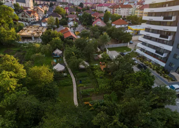 Printre blocuri, trafic, bănci sau farmacii: Grădina cu libelule din mijlocul Braşovului