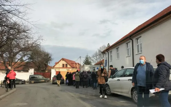Coada sutei de lei