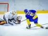 Wolves-MAC 5-2, plus victorii la „masa verde” cu DEAC şi Gyor