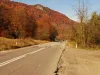 Direcţia Regională de Drumuri, dispusă să plătească peste 1 milion de euro pentru repararea unei porţiuni de 250 m din DN 73A