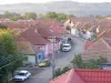 IT-istul din casa părăsită