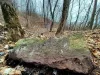 Măsurătoarea Meridianului Europei a trecut acum 140 de ani prin centrul Braşovului. O piatră stă mărturie  