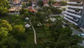 Printre blocuri, trafic, bănci sau farmacii: Grădina cu libelule din mijlocul Braşovului