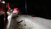Șofer accidentat pe DN 11, la Lunca Câlnicului, din cauza unui arbore doborât de vânt. Drumarii brașoveni au avut o noapte albă