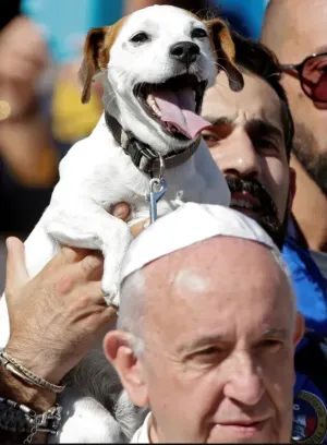 Papa Francisc îi consideră egoişti pe cei care îşi iau animale de companie în loc să facă un copil