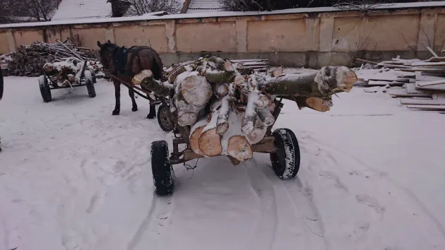 Crizbav şi Măieruş, 4 ore de „filtre silvice”: 4 căruţe pline cu lemne, niciuna cu acte în regulă