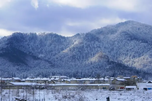 Din bordură în gard