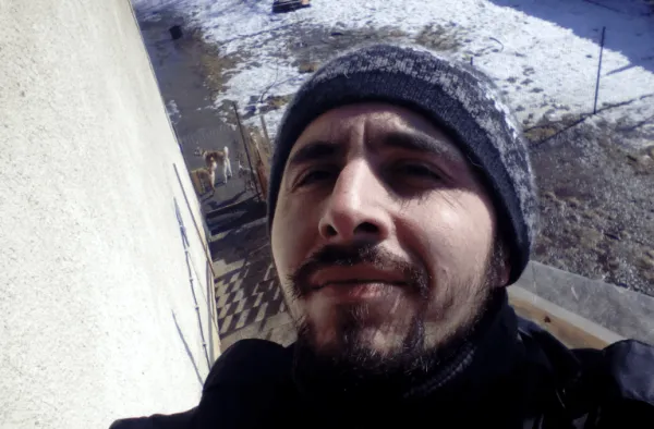 Masacrul de la Prejmer, a venit sentinţa: 70 de câini exterminaţi, 1 an de închisoare