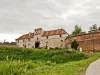 Cetatea Braşovului, de 8 ani în procese. Pe 1 martie, un nou termen în lupta dusă de Aro Palace  