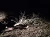Ca-n filmele horror, în miezul nopţii, la Rucăr, Braşov