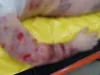 Apel de la Braşov pentru Aron, copilul mutilat de câini