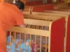 1 din 3 copii din Braşov va avea loc într-o creşă publică