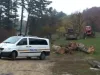 Cincu: Prinşi cu drujba, atunci tăiau stejarul