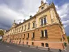 Cele 65 de angajări la Primăria Braşov, refuzate