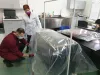 În 21 de zile, moare tot. Orice bacterie, ou, larvă, nimfă, insectă