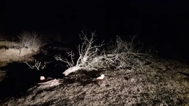 Ca-n filmele horror, în miezul nopţii, la Rucăr, Braşov