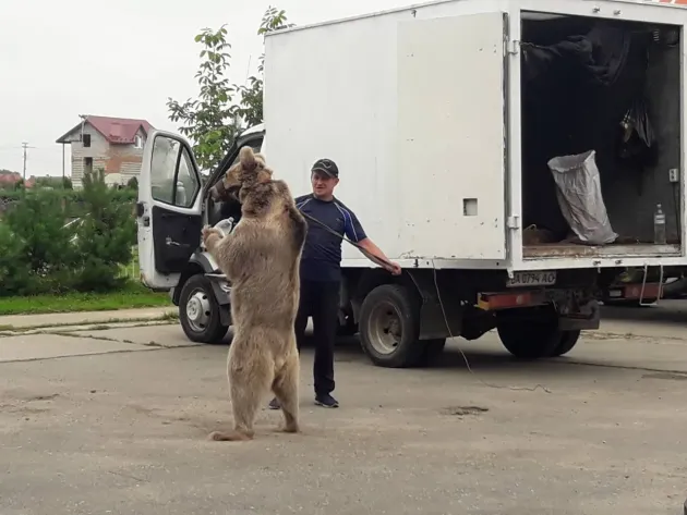 Masha, între primele victime ale războiului din Ucraina