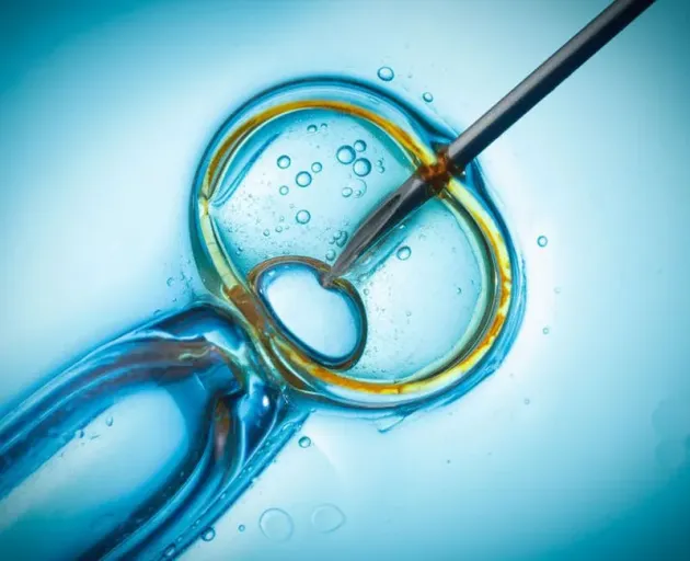 4.500 de euro de la stat, pentru fertilizare in vitro, până la 45 de ani
