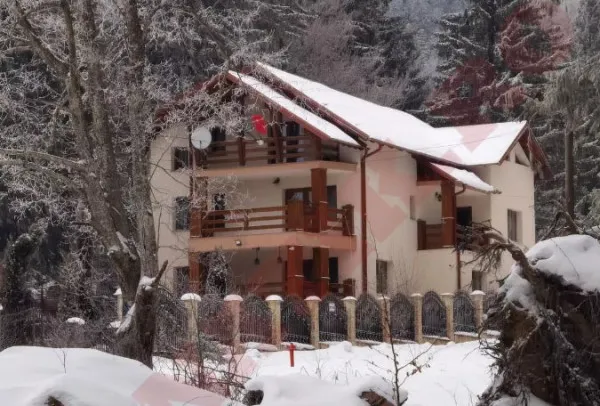 S-a săturat de roz: Viorica Dăncilă şi-a zugrăvit în crem casa de lângă Sanatoriul de Nevroze din Predeal
