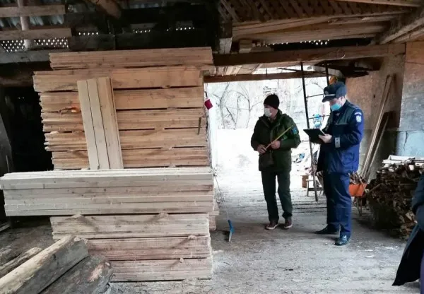 Gater din Braşov, amendat cu 1.000 de lei şi cu lemne confiscate. Capturi şi la Sânpetru, Dumbrăviţa, Cincu