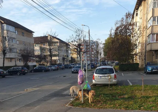 32.030,93 lei / apartament: Patru blocuri din Făgăraş, scoase la licitaţie pentru eficientizare energetică