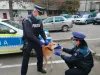 10 adăposturi controlate: 1.328 de câini, toţi îngrijiţi corespunzător 