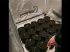 Cămătar din Vâlcea, cu locotenent la Brașov: Împrumuta bani, șantaj la zeciuială