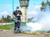 Au apărut căpuşele în Braşov 