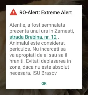 A venit şi „primăvara urşilor”