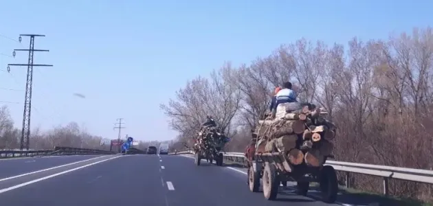 Codlea: În două ore de „planton”, 3 căruţe de lemne confiscate
