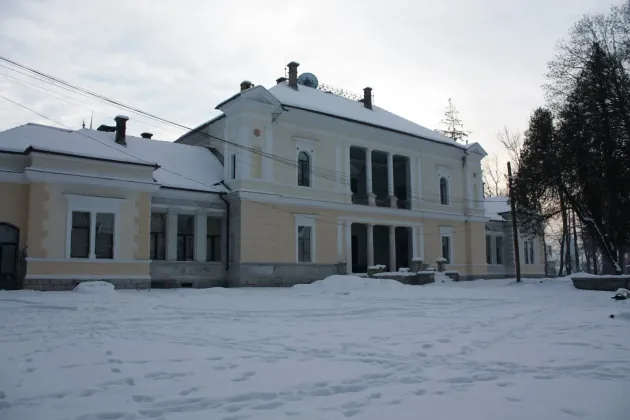 Primăria Budila caută o firmă care să scape comuna de câini: 833 lei bucata