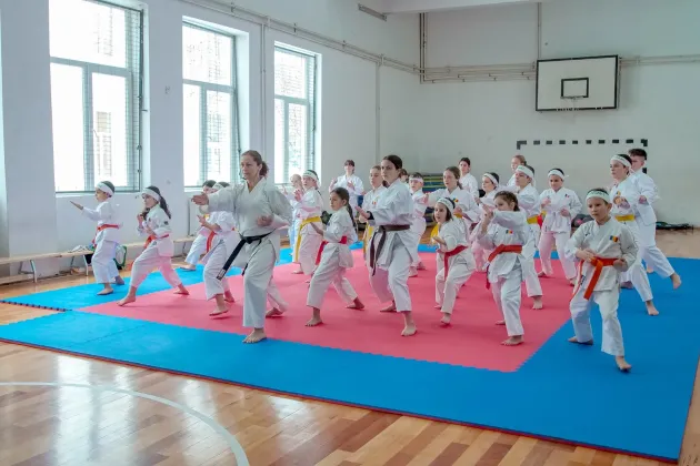 Bugetare participativă la Făgăraş: săli de sport cu dotări pentru karatişti