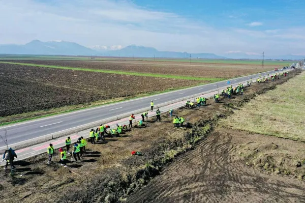 1,2 milioane de lei pentru reconstrucţia ecologică forestieră din trei comune din judeţul Braşov